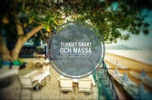 Screenshot 20230604 040940 Ving