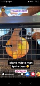 Screenshot 20230930 172144 Facebook