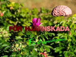 Received 1285022879071816