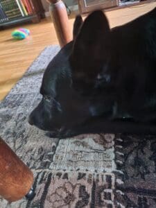 20220927 155225 scaled